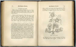 A page from "New-England’s rarities discovered in birds, beasts, fishes, serpents, and plants of that country," 1865 reprint of original 1672 publication