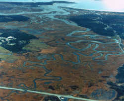 aerial view of marsh
